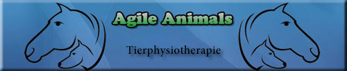 Tierphysiotherapie